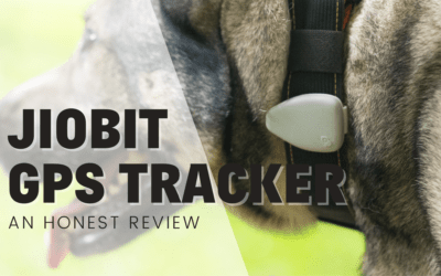Jiobit GPS Tracker for Dogs – An Honest Review