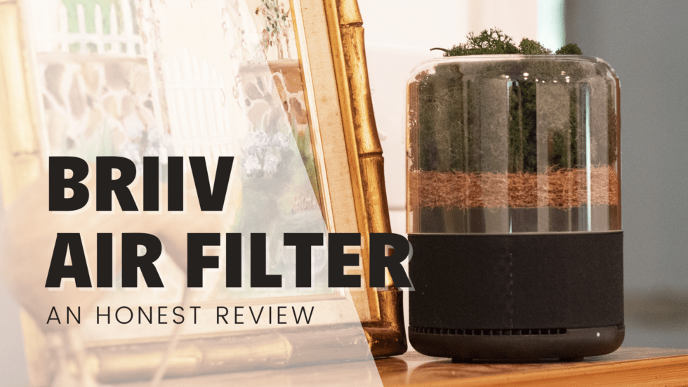 Briiv air filter for pet parents pet dander solution