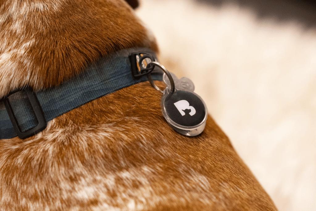 The Byte Smart ID tag for dogs