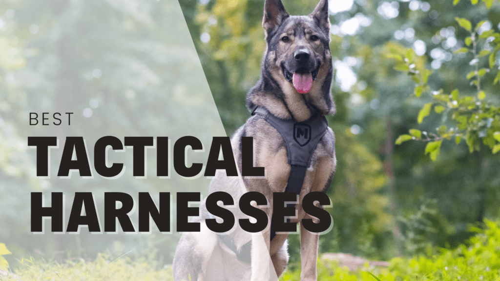 best tactical harnesses for dogs