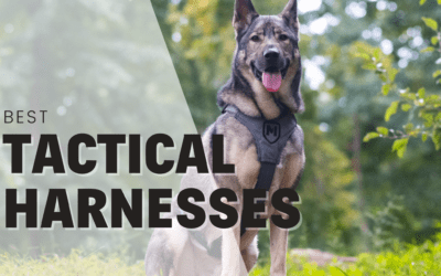 6 Best Tactical Dog Harnesses 2022