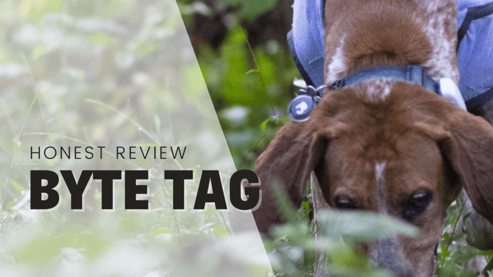 Byte tag honest review smart dog tag