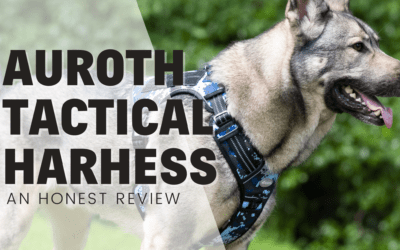 Ray Allen Nomad I.H.S Harness – An Honest Review