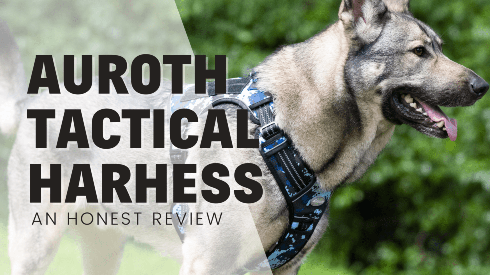 Auroth tactical dog harness an honest review