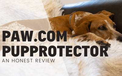 Paw.com PupProtector – An Honest Review