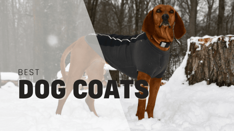 The Ruffwear Sun Shower Dog Coat – An Honest Review