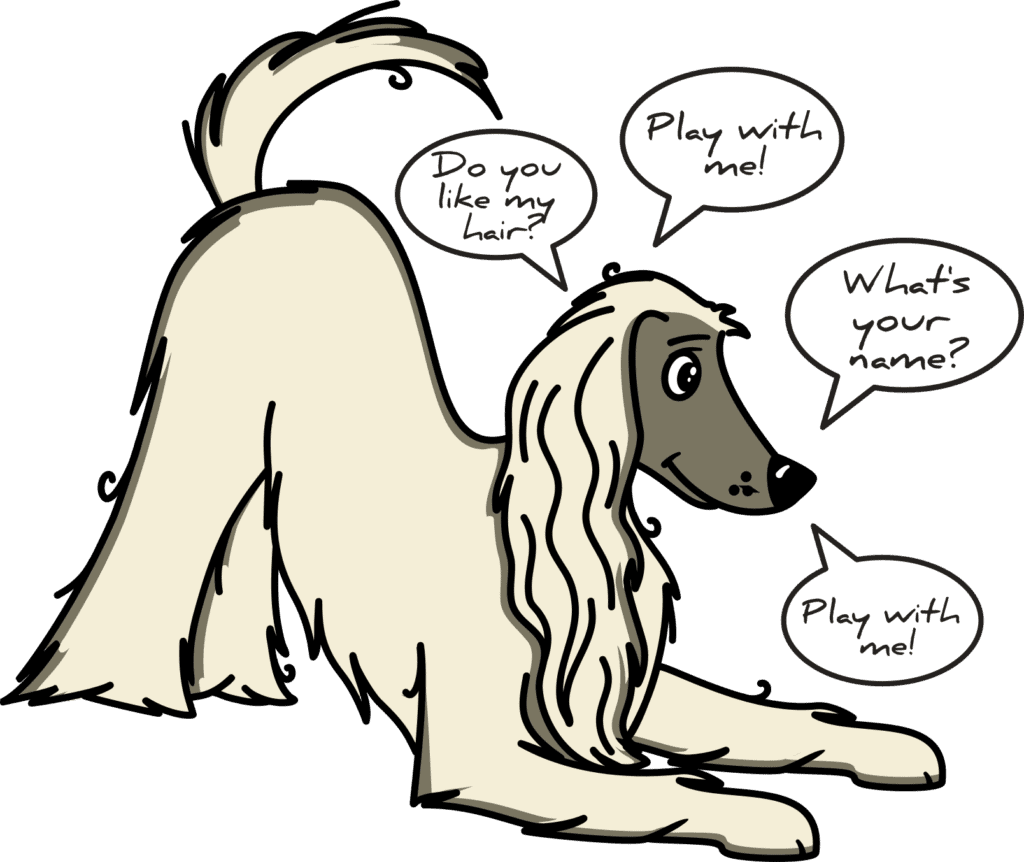 playful afghan hound - these dogs can be so problematic because they want to play
