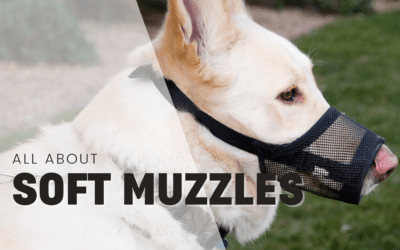 All About Soft Muzzles For Dogs (Aka Emergency Muzzles)