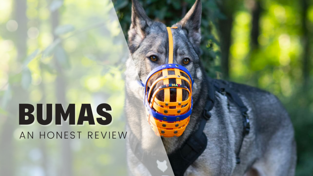 BUMAS Muzzle review rebarkable