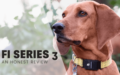 Fi Series 3 GPS Dog Collar – An Honest Review