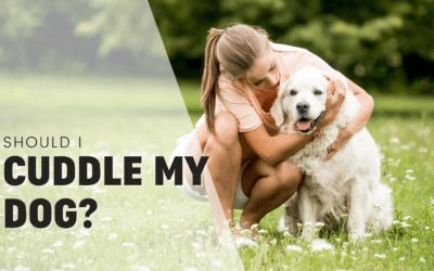 Should I Cuddle My Dog? A Guide From A Professional Dog Trainer