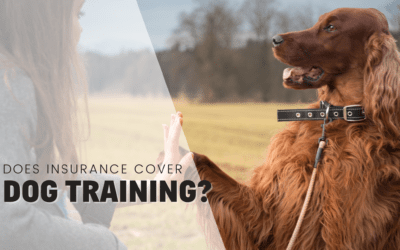 Does Dog Insurance Cover Training or Behavioral Issues?