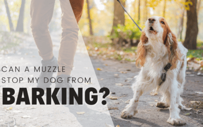 Can I Use A Muzzle To Stop My Dog Barking? Dog Trainer Explains