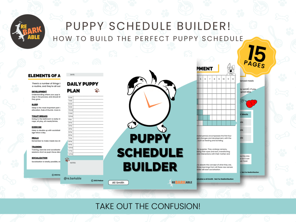 Puppy schedule builder by rebarkable
