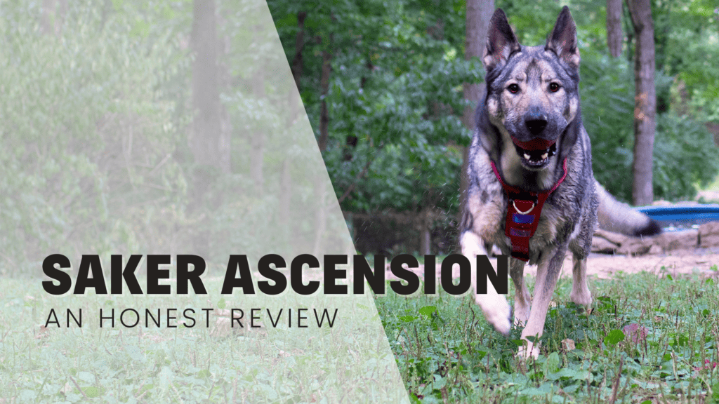 Saker Ascension harness review