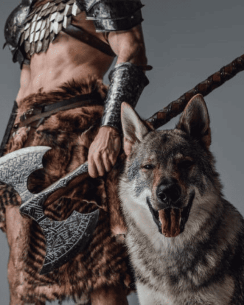 Badass Viking Dog Names for Your Fierce Companion (2)
