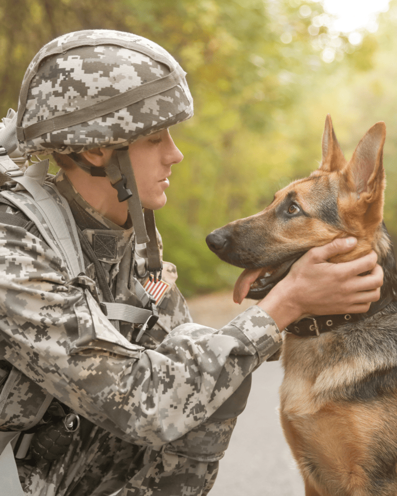 How To Train Your Dog Like A Service Dog (11)