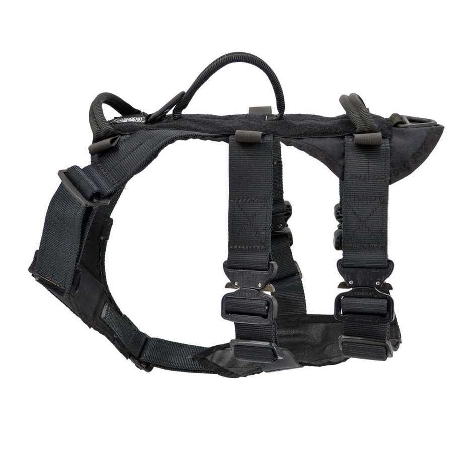 Modern Icon Tracking Harness