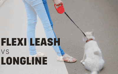 Long Line vs Flexi Lead: Understanding the Pros and Cons for Dog Guardians