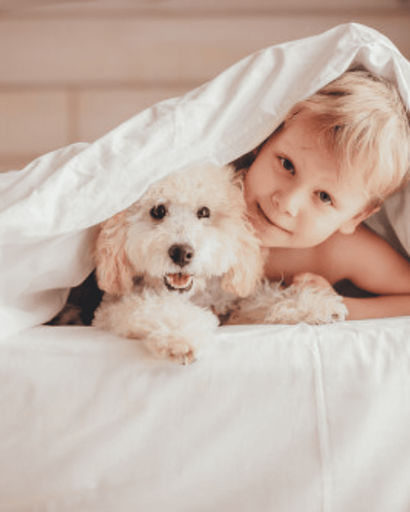 Considerations for Cavapoo Owners (3)