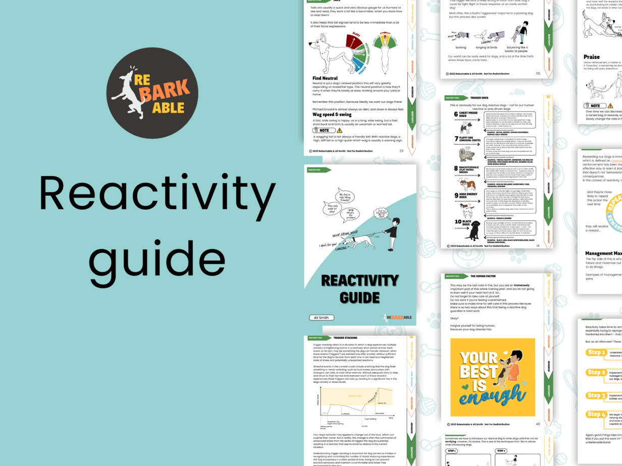 reactivity etsy guide
