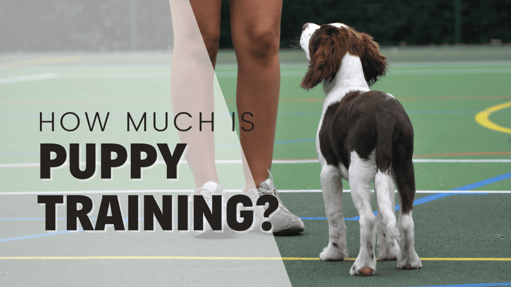 Cost Puppy Training