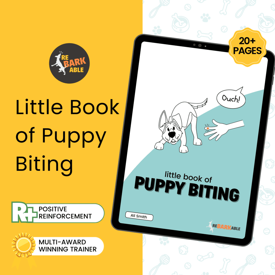 Little Book Of Puppy Biting