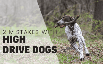 The 2 Major Mistakes Made With High Drive Dogs
