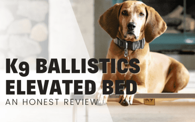 K9 Ballistics Elevated Bed – An Honest Review