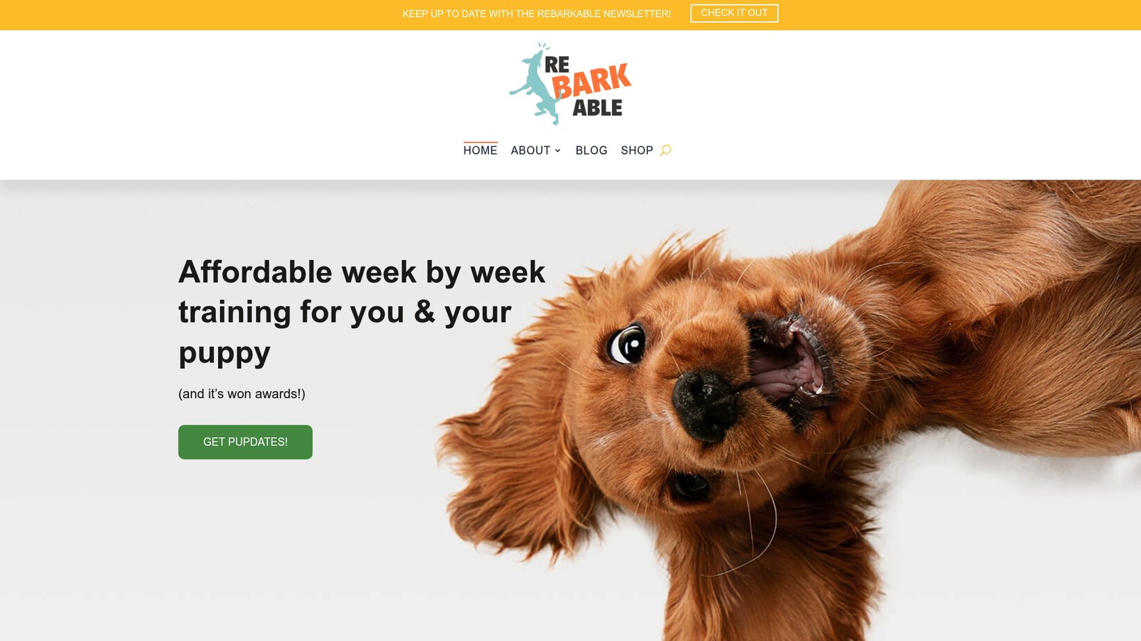 Rebarkable