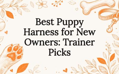 Best Puppy Harness for New Owners: Trainer Picks