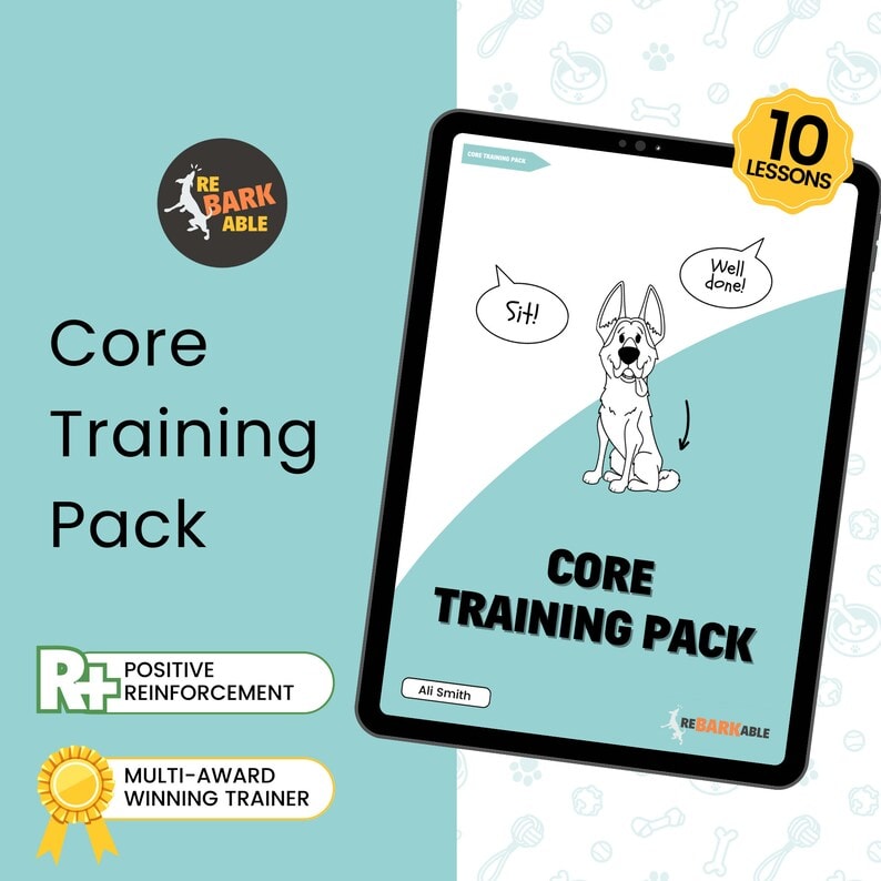Rebarkable illustrated Core Skills dog training guide