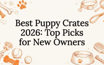 Rebarkable Recommends: Puppy Crates