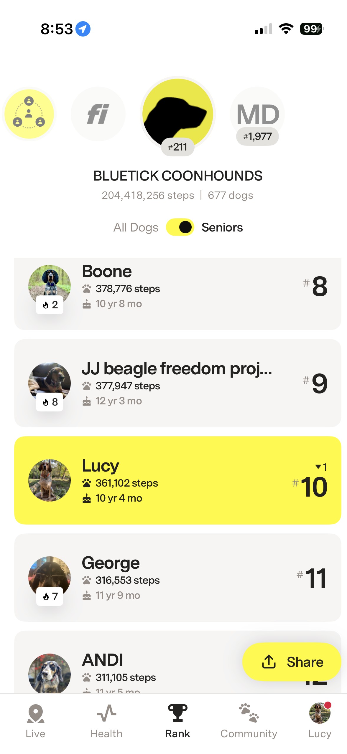 Fi senior Bluetick Coonhound leaderboard showing Lucy ranked tenth for monthly steps.