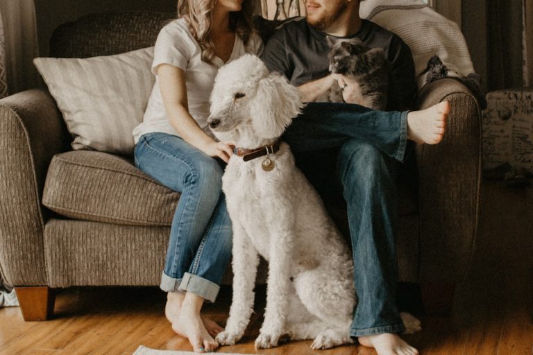 Taking a Puppy to Stay With Family: How to Make Someone Else’s House Work