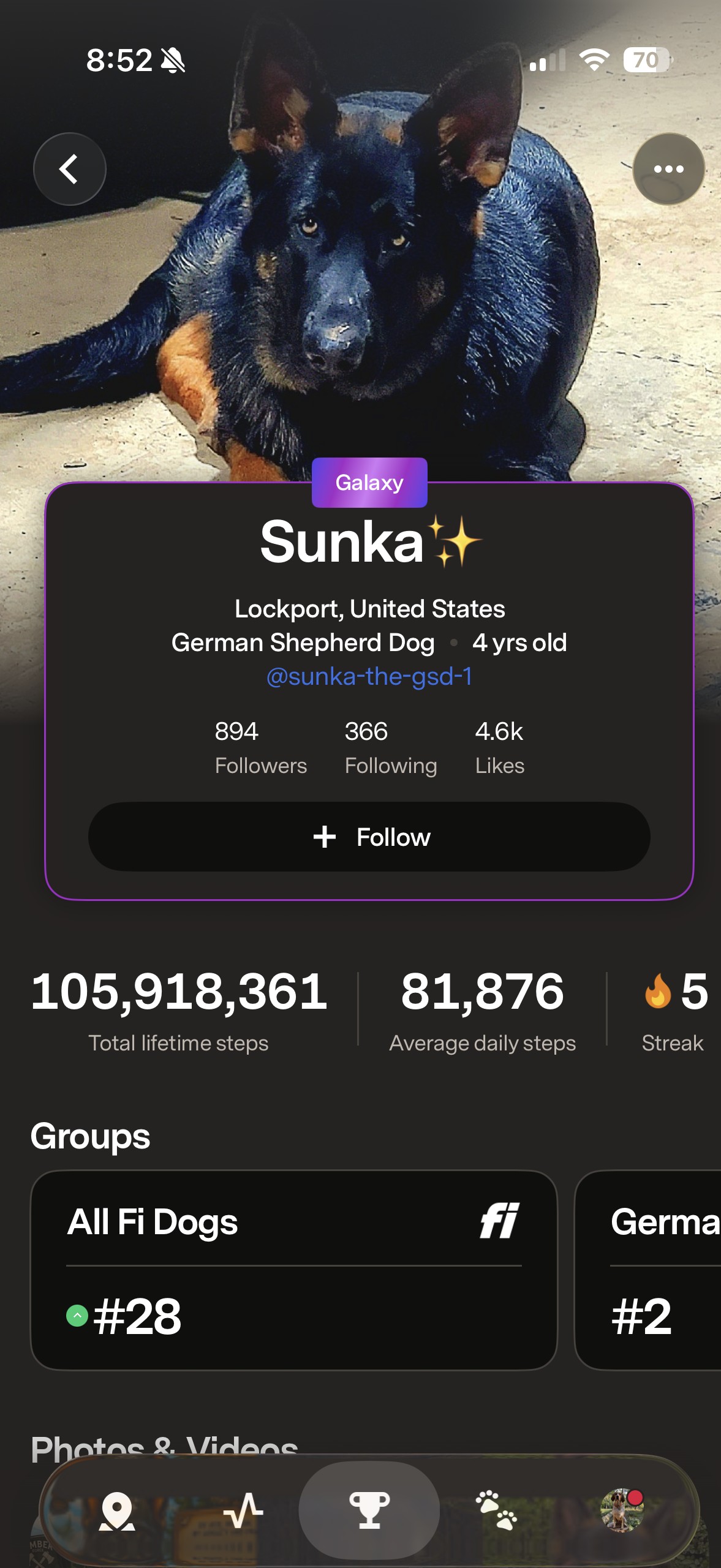 Fi app showing Lucy's licking events and duration