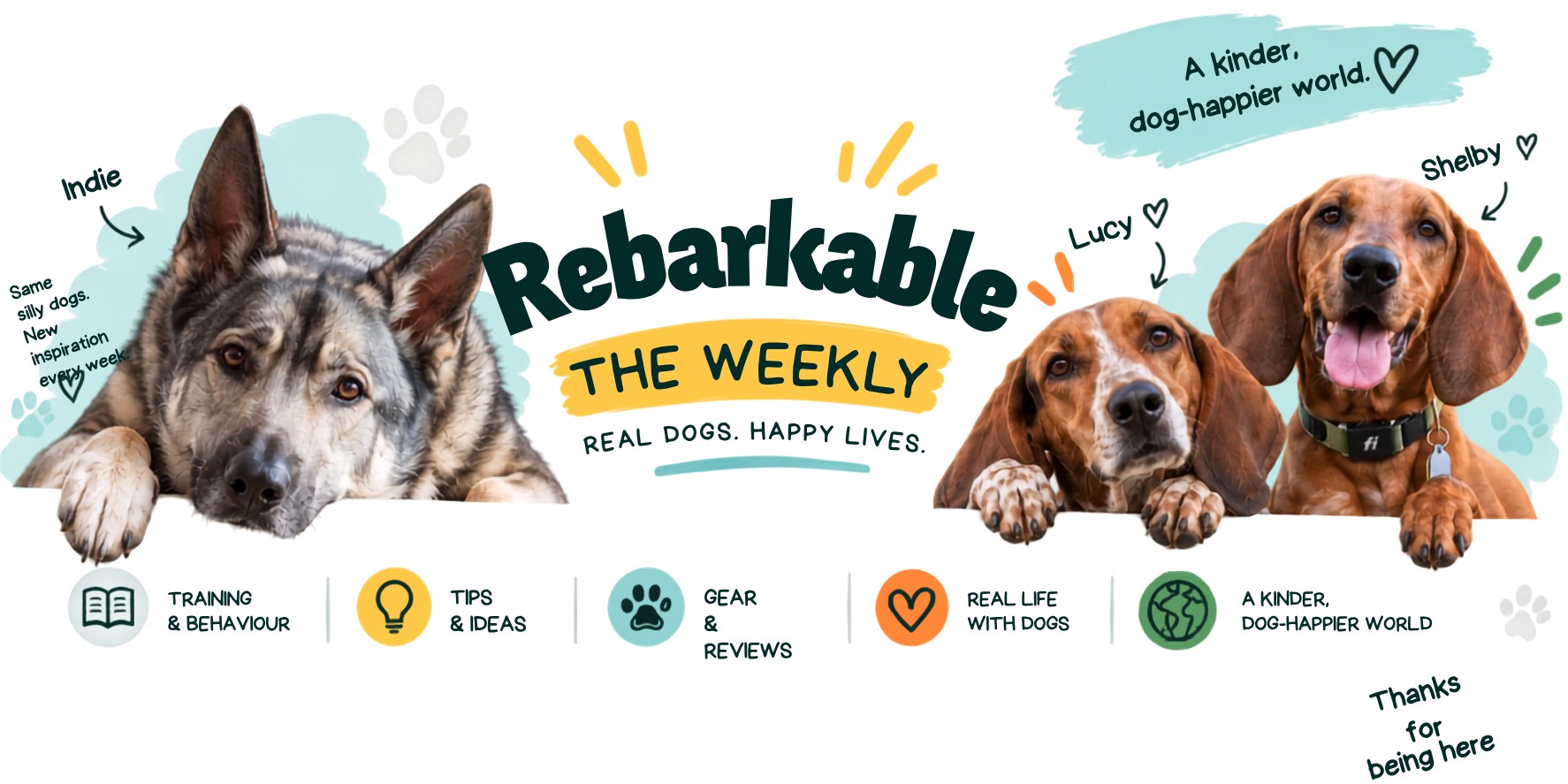 The Weekly by Rebarkable