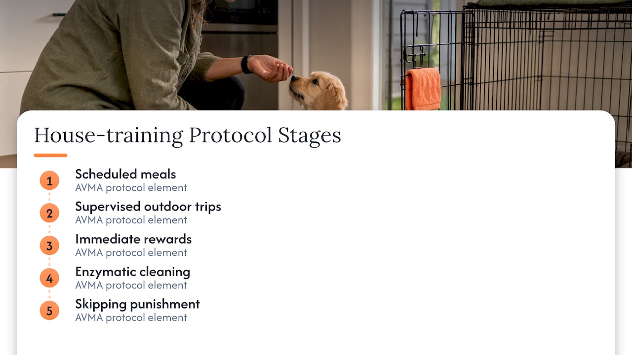 Five-part humane house-training protocol