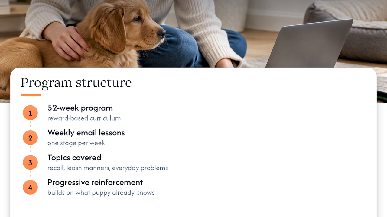 How Rebarkable helps you train without reaching for aversive tools — overview diagram