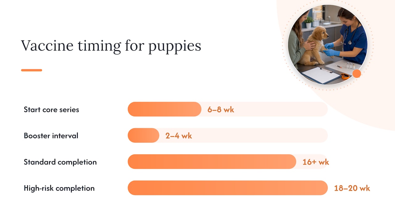 Puppy core vaccine schedule by age